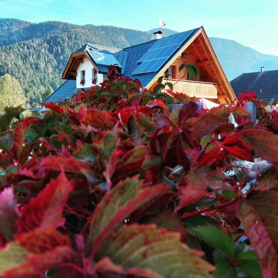 Bed and Breakfast Al sentiero di Charly Tarvisio Esterno foto