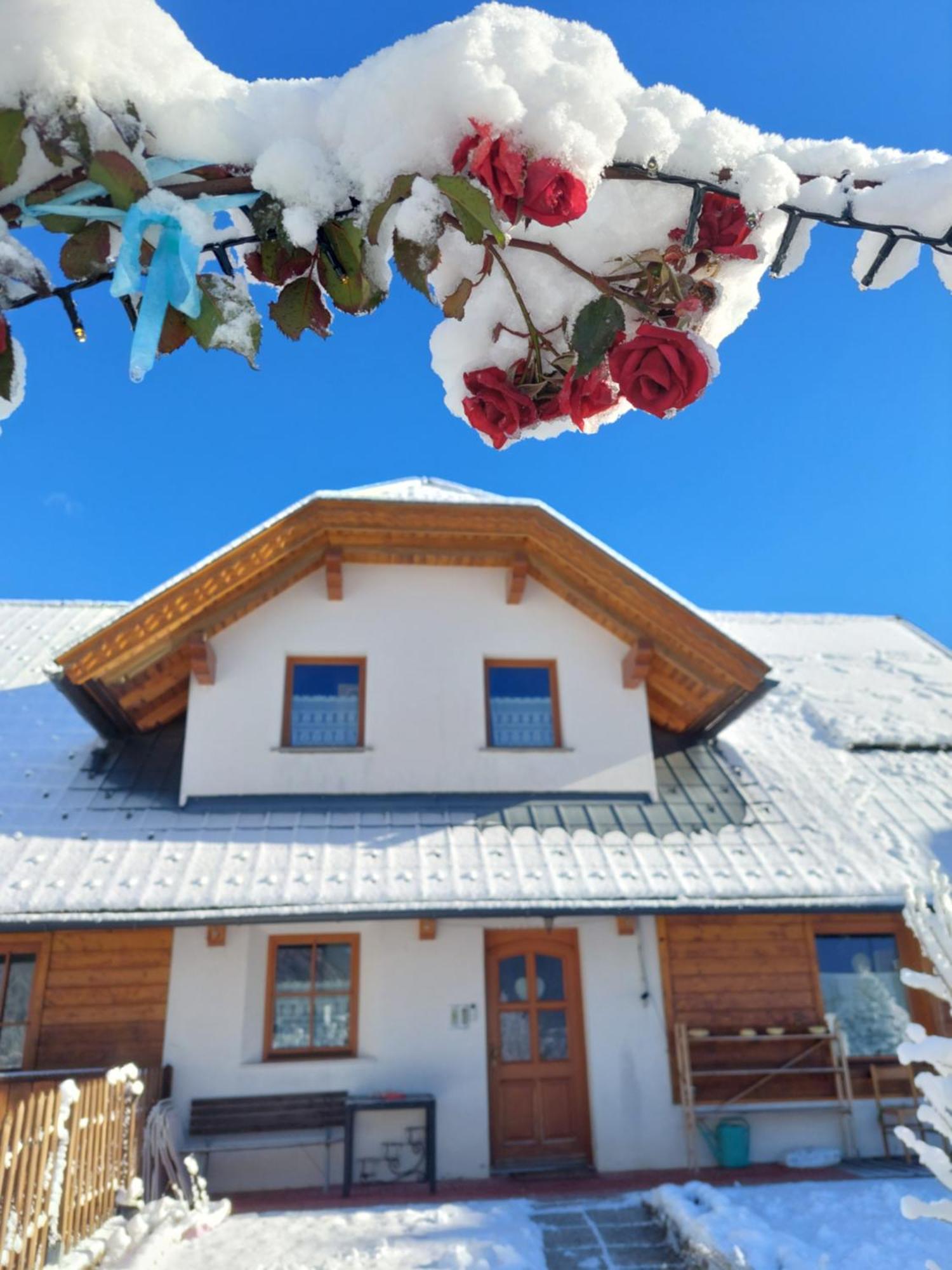 Bed and Breakfast Al sentiero di Charly Tarvisio Esterno foto